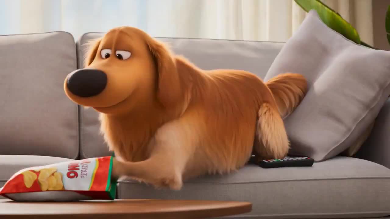 Seedance 2.0 Prompt: Adult Male & Golden Retriever Video