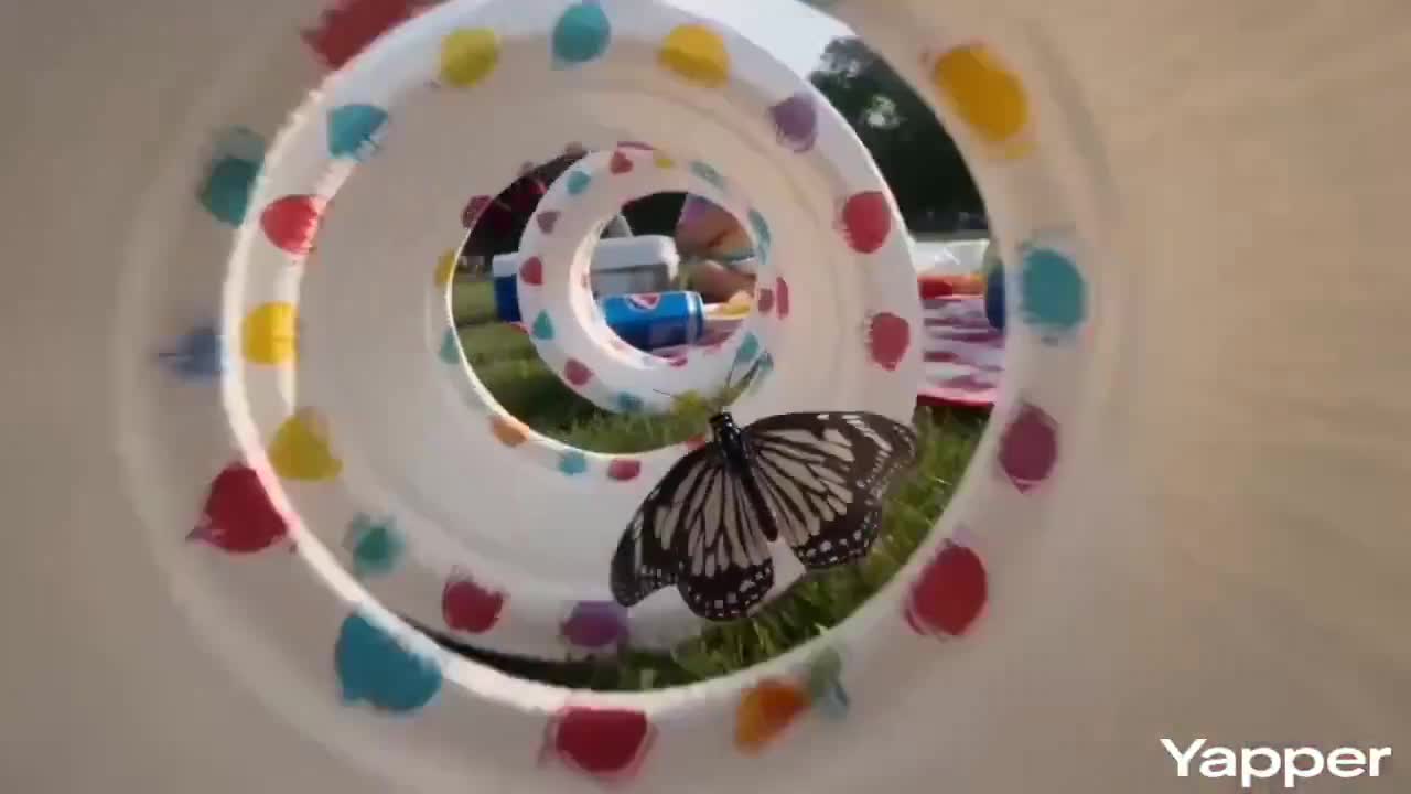 Seedance 2.0 Prompt: Butterfly FPV Picnic Chaos Video