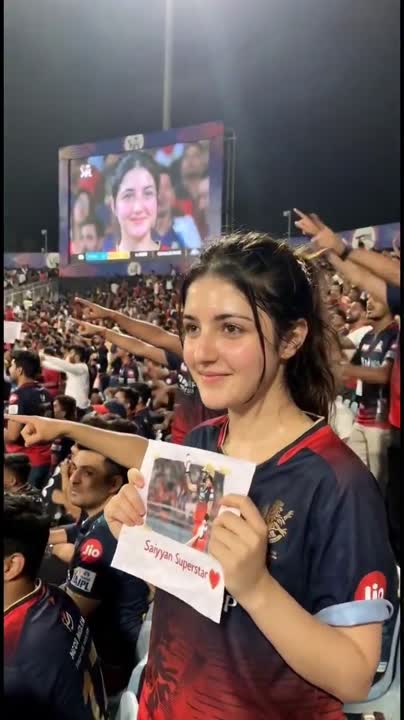 Cricket Stadium Fan Portrait - Seedance 2.0 Prompt