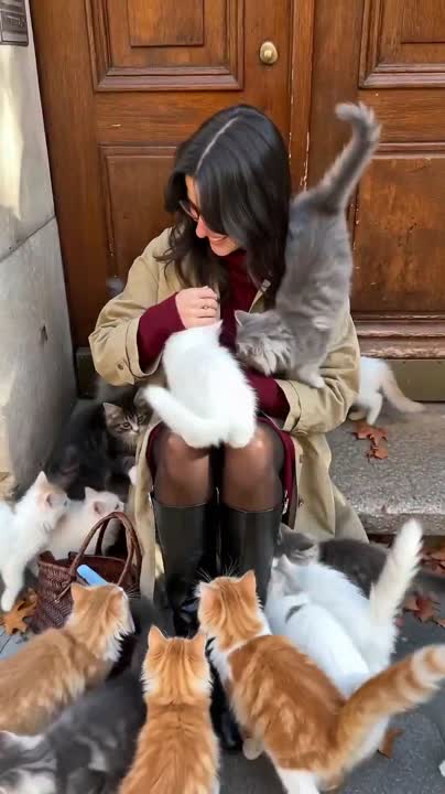 Seedance 2.0 Prompt: Fluffy Kitten Swarm Effect