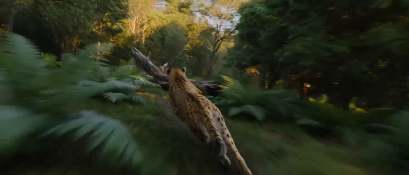 High-Speed Cheetah Chase: Seedance 2.0 Prompt Showcase
