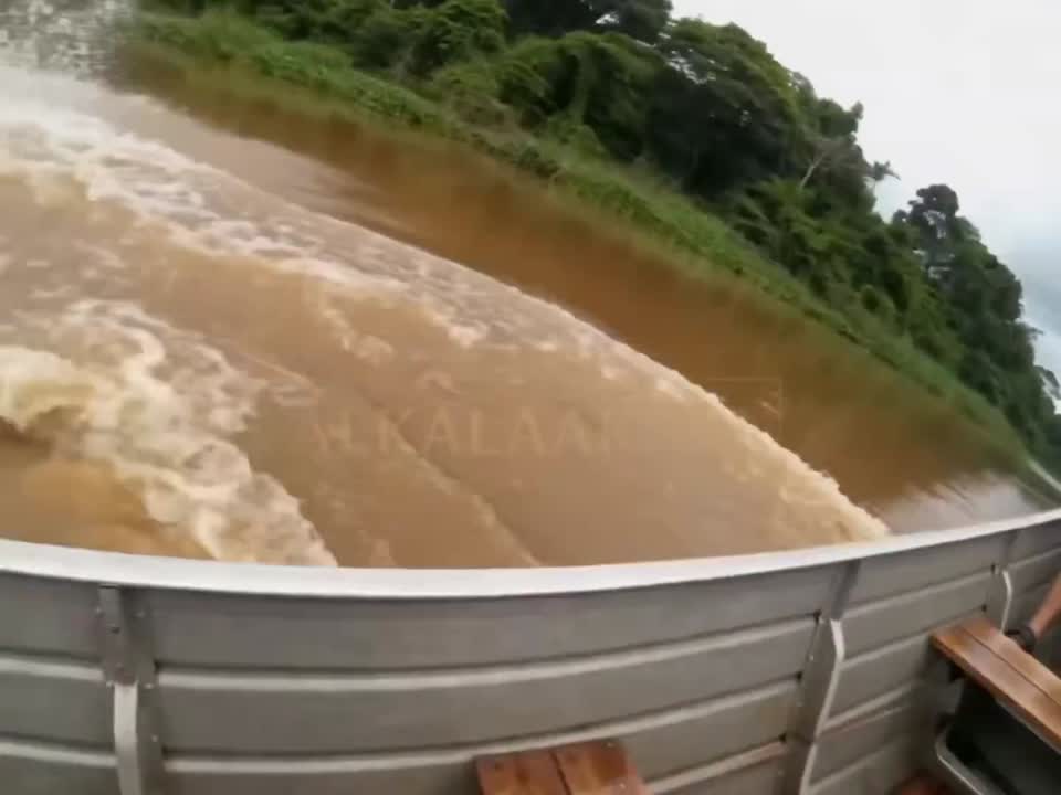 Seedance 2.0 Prompt: Hippo Boat Attack Video Generation