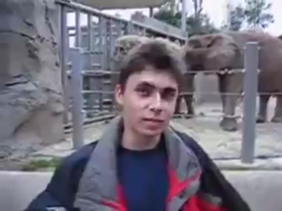Seedance 2.0 Prompt: Man & Elephant at Zoo (Old Camera Style)