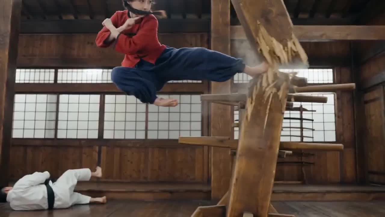 Seedance 2.0 Prompt: Martial Arts Fight in "Hongkou Dojo"