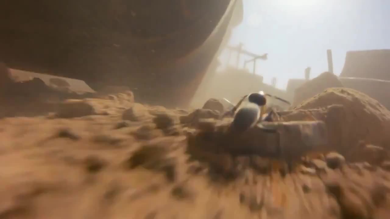 Seedance 2.0 Prompt: Ant POV Construction Site Survival