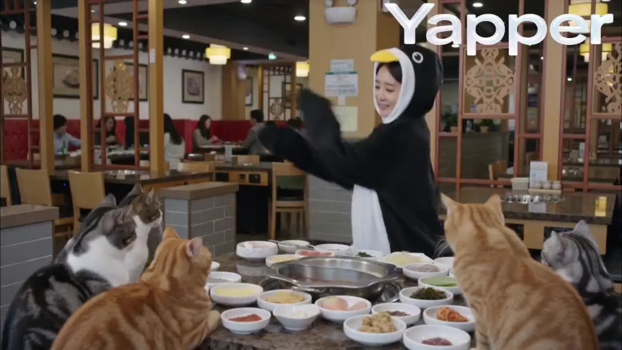 Seedance 2.0 Prompt: Penguin Dancer in Cat Hotpot Restaurant