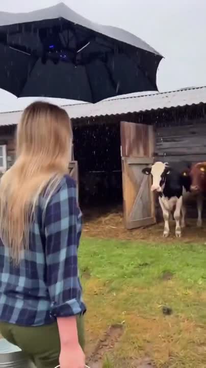 Seedance 2.0 Prompt: Woman Walking in Rain to Barn