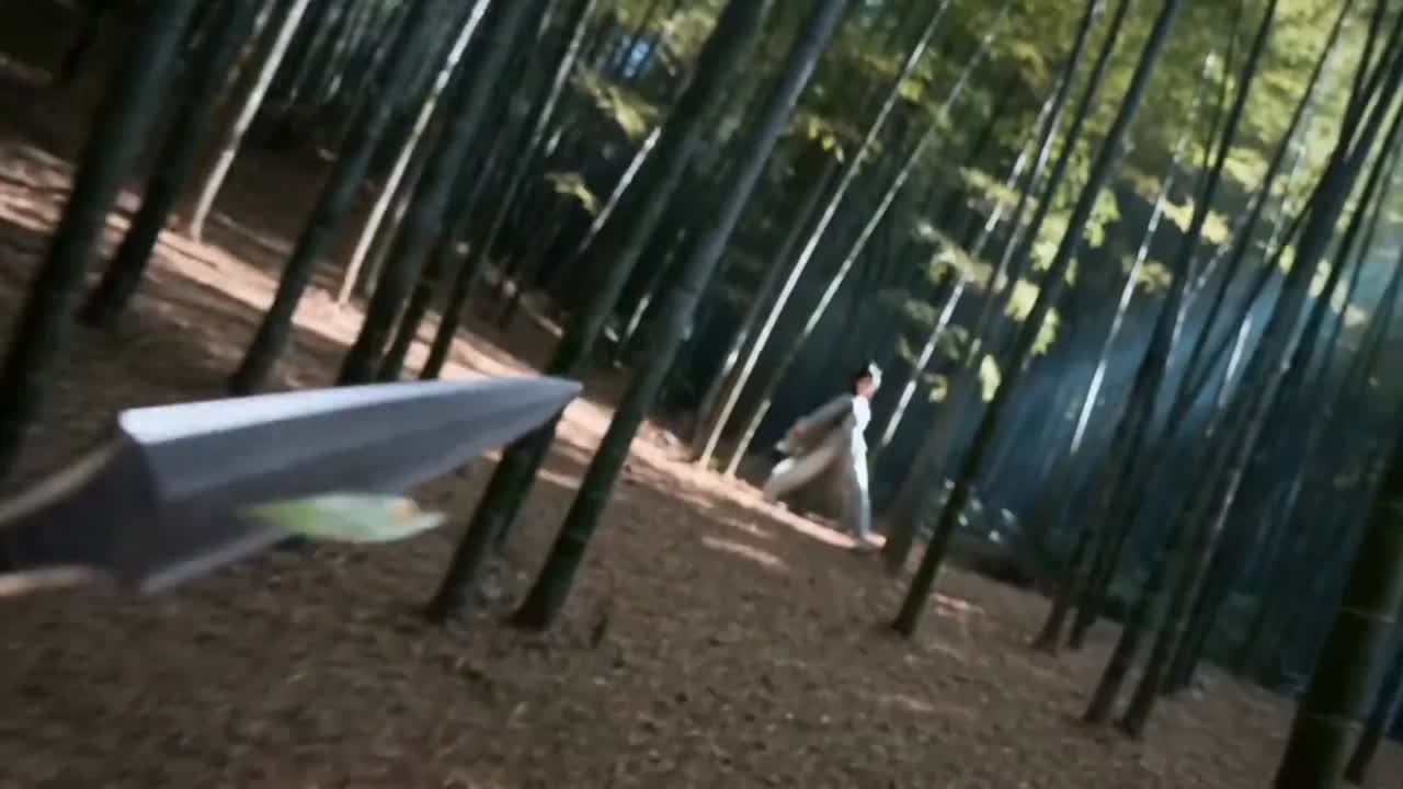 Seedance 2.0 Prompt: Classic Wuxia Knife Throw & Sword Block Video