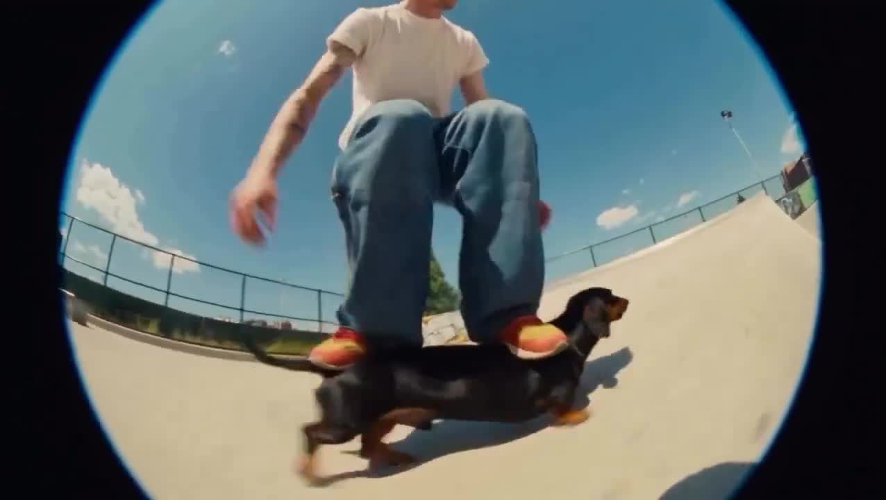 Surreal Skater Dachshund - Seedance 2.0 Prompt