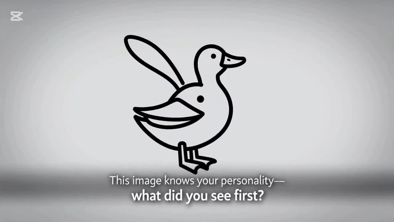 Seedance 2.0 Prompt: Viral Optical Illusion Personality Test