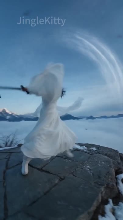 Seedance 2.0 Prompt: Wuxia Swordplay on a Mountain Peak